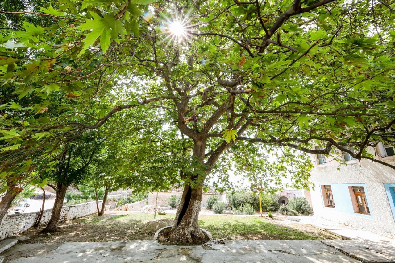 Vila Leon - Old Qeparo - 6 People מראה חיצוני תמונה